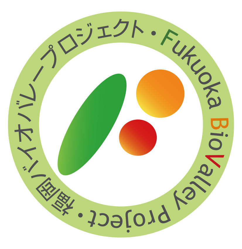 Fukuoka Viovalley Project